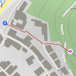 thumbnail for AI - Burglengenfeld