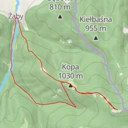 thumbnail for AI - Pustak - Ochotnica Górna