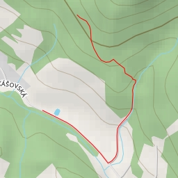 thumbnail for AI - významný strom - Liberec