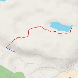 thumbnail for AI - Kotolampi