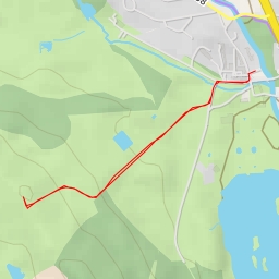 thumbnail for AI - Trentham Park