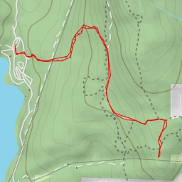 thumbnail for AI - Little Bear Trail - Anmore