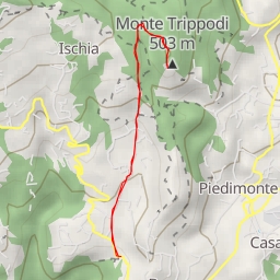 thumbnail for AI - Monte Trippodi