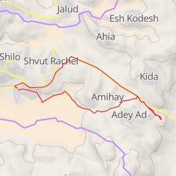 thumbnail for AI - מצפה עדי עד