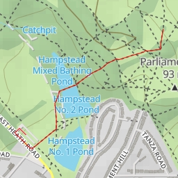 thumbnail for AI - Cluster of Scots Pines