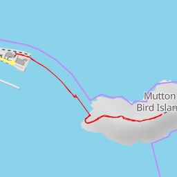 thumbnail for AI - Mutton Bird Island