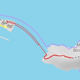 thumbnail for AI - Muttonbird Island Nature Reserve - Coffs Harbour