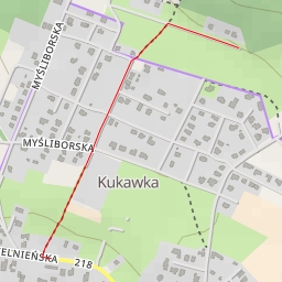 thumbnail for AI - Gorczańska