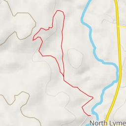 thumbnail for AI - Lyme