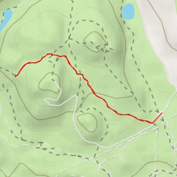 thumbnail for AI - Saddleback - Kamloops