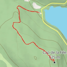 thumbnail for AI - Cap de la Fée