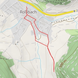 thumbnail for AI - Dick Buche - Roßbach