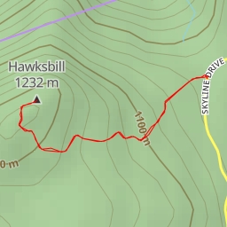 thumbnail for AI - Hawksbill Viewing Platform