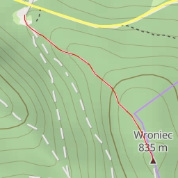 thumbnail for AI - Wroniec