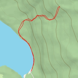 thumbnail for AI - Mirador