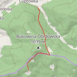 thumbnail for AI - „Koliba” na Łapsowej Polanie