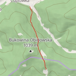 thumbnail for AI - Stara kapliczka - Nowy Targ