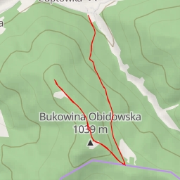 thumbnail for AI - Czółko