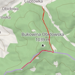thumbnail for AI - Polana Matyjówka