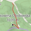 thumbnail for AI - Bukowina Obidowska