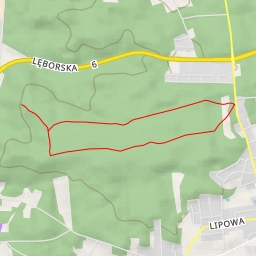 thumbnail for AI - Ścieżka zdrowia w Luzinie - Luzino