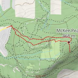 thumbnail for AI - XCellerator - Abbotsford