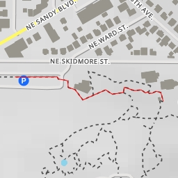 thumbnail for AI - Saint Peregrine, O.S.M. - Portland