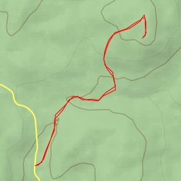 thumbnail for AI - Carris Hill Trail (Yellow) - Bloomingdale