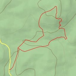 thumbnail for AI - Carris Hill Trail (Yellow) - Bloomingdale
