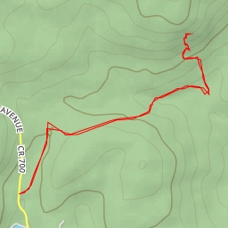 thumbnail for AI - Carris Hill Trail (Yellow) - Bloomingdale