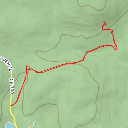 thumbnail for AI - Carris Hill Trail (Yellow) - Bloomingdale