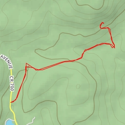 thumbnail for AI - Carris Hill Trail (Yellow) - Bloomingdale