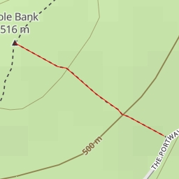 thumbnail for AI - Pole Bank