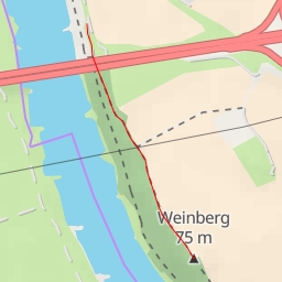 thumbnail for AI - Weinberg