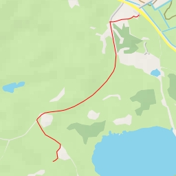 thumbnail for AI - Zwanenwater