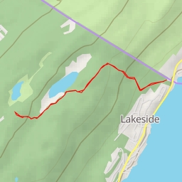 thumbnail for AI - West Pond