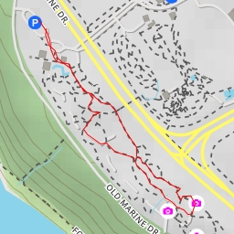 thumbnail for AI - Greenheart Canopy Walkway - Electoral Area A