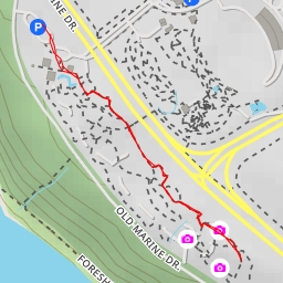 thumbnail for AI - Greenheart Canopy Walkway - Electoral Area A