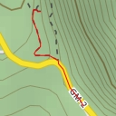 thumbnail for AI - Risquillos de Cordo