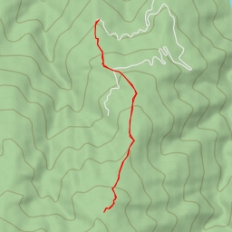 thumbnail for AI - х. Конгур