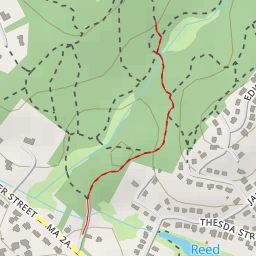 thumbnail for AI - Whipple Hill Conservation Land - Lexington