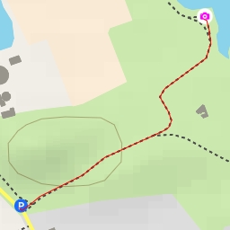 thumbnail for AI - Point de vue ornithologique