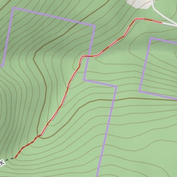 thumbnail for AI - Myrtle Forest Falls