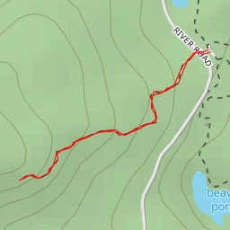 thumbnail for AI - River Road - Middletown