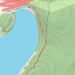 thumbnail for AI - Black Pond