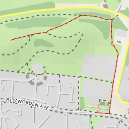 thumbnail for AI - The Green Man - South Ribble