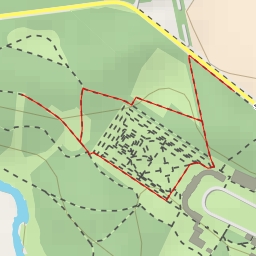 thumbnail for AI - Polana Dębów Zabytkowych