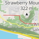 thumbnail for AI - William Drive - White Salmon