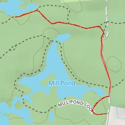 thumbnail for AI - Tucker Trail - Kingston