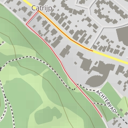 thumbnail for AI - Catrijper Nok